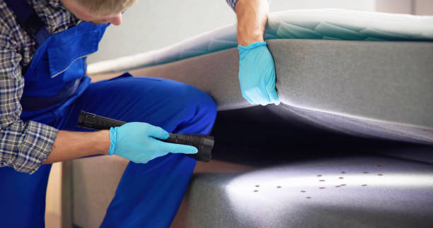 Best Pest Inspection Near Me  in Stonewall, MS