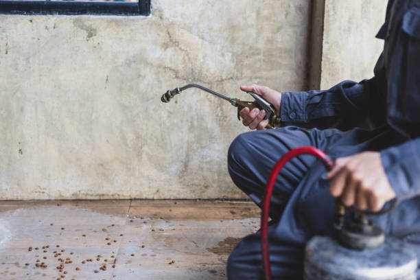 Best Mosquito Control Services  in Stonewall, MS